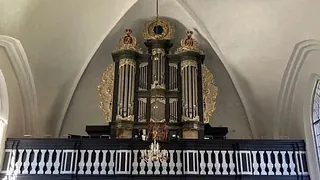 Orgel